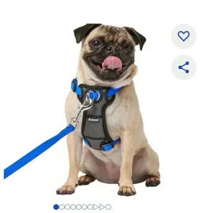 Frisco blue medium padded front lead dog harness New with tags